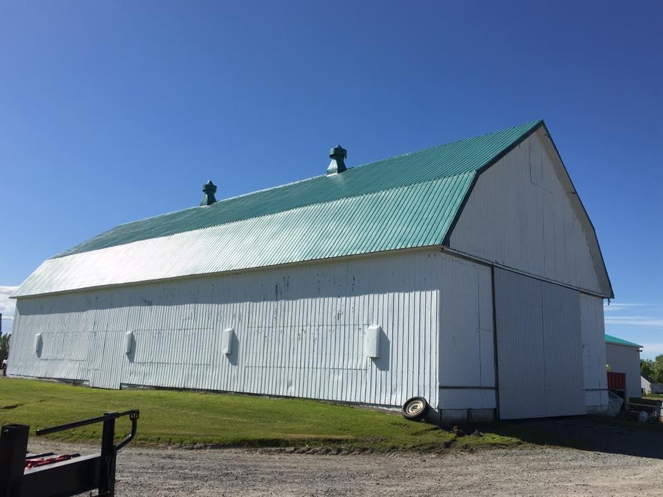 Équipe de peintres professionnels appliquant une couche de peinture protectrice sur la toiture en tôle d'une grange agricole au Québec.
